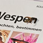 Ich glaub', Insekten können doch lesen! Polistes-Feldwespe auf ihrem Bestimmungsbuch . . .