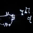 Ich glaub, mein Schwein pfeift !!! Lightpainting