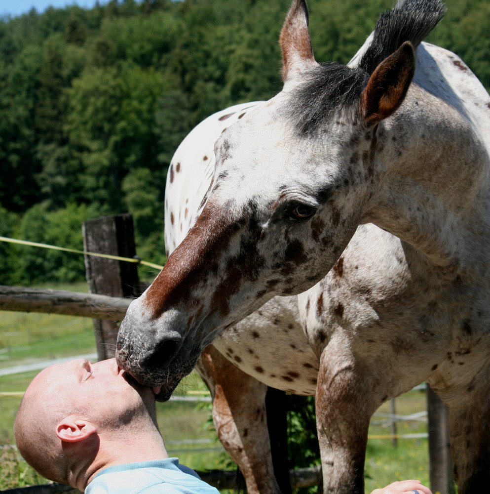 Ich glaub mich knutscht ein Pferd!!!