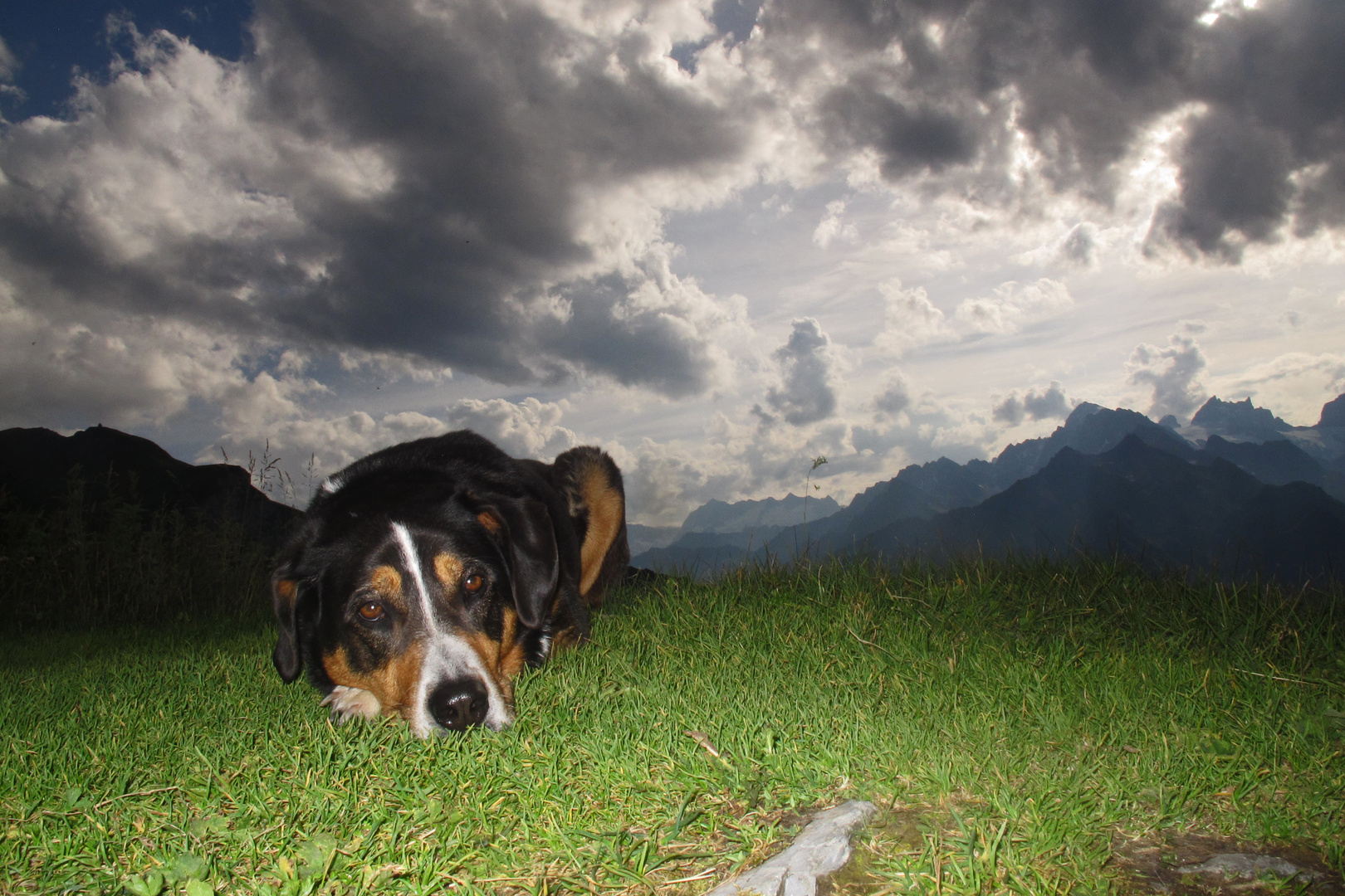 Ich glaube, da kommt ein Gewitter....