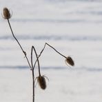 Ich glaube, den Winter können wir jetzt endgültig abhaken...