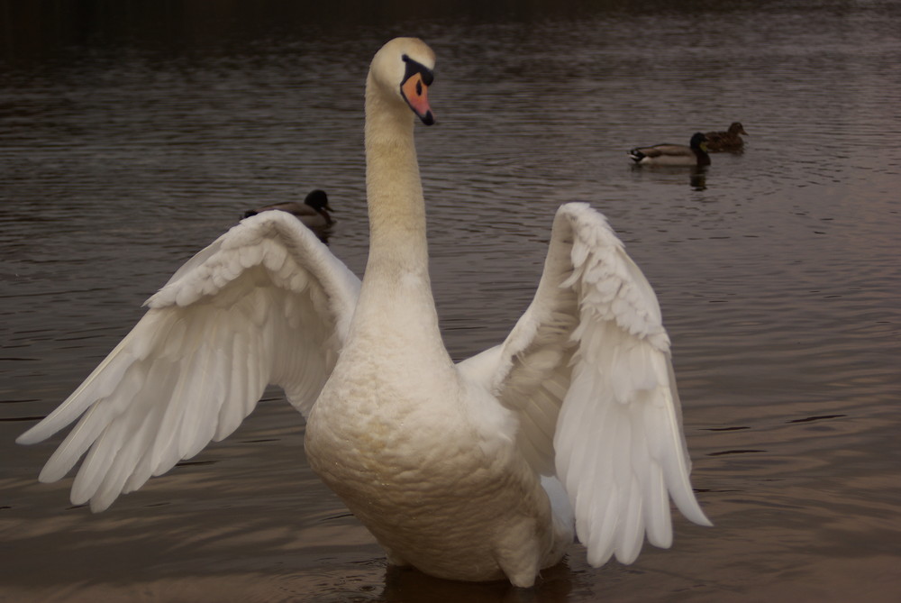 Ich glaube er lässt sich gerne fotografieren