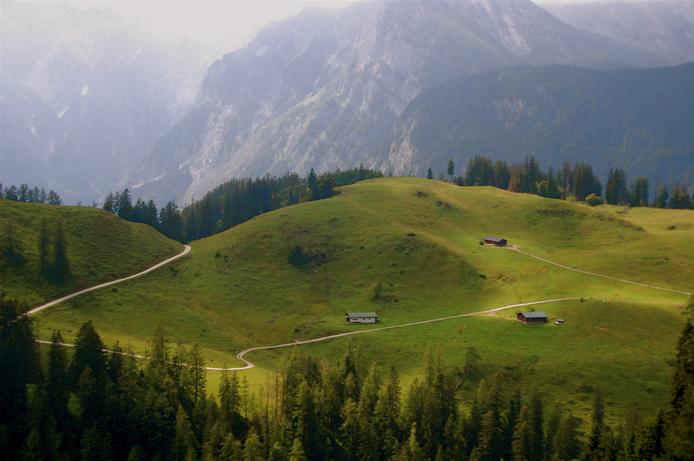 Ich glaube, hier könnten Heidi,...