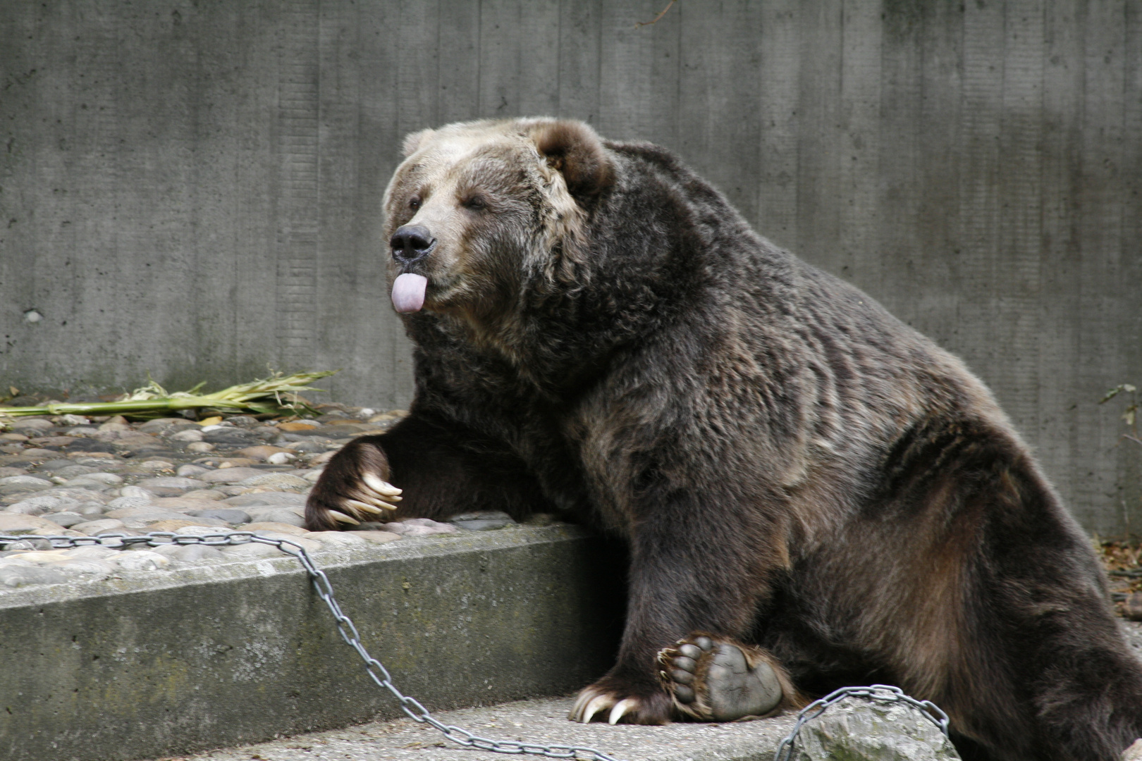 Ich Grüße alle Zoobesucher