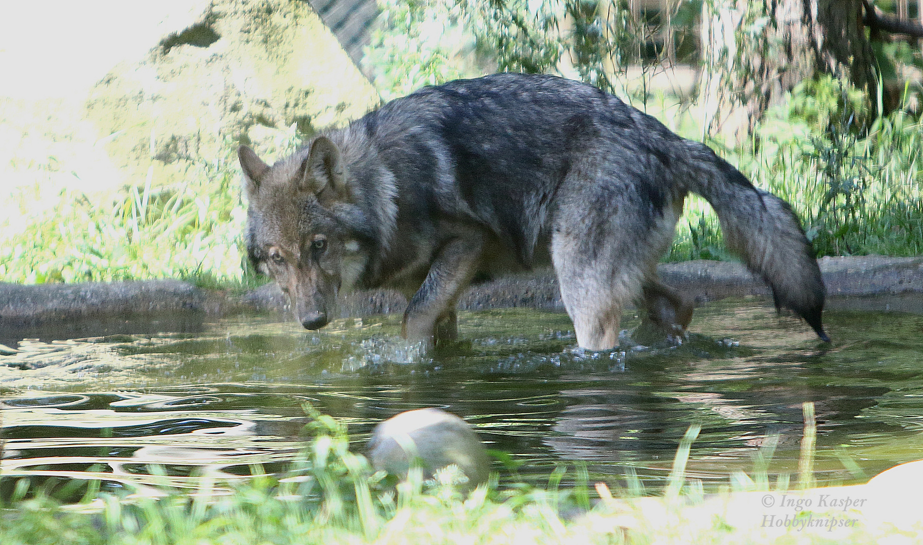 Ich hab aus Versehen ins Wasser gemacht ...