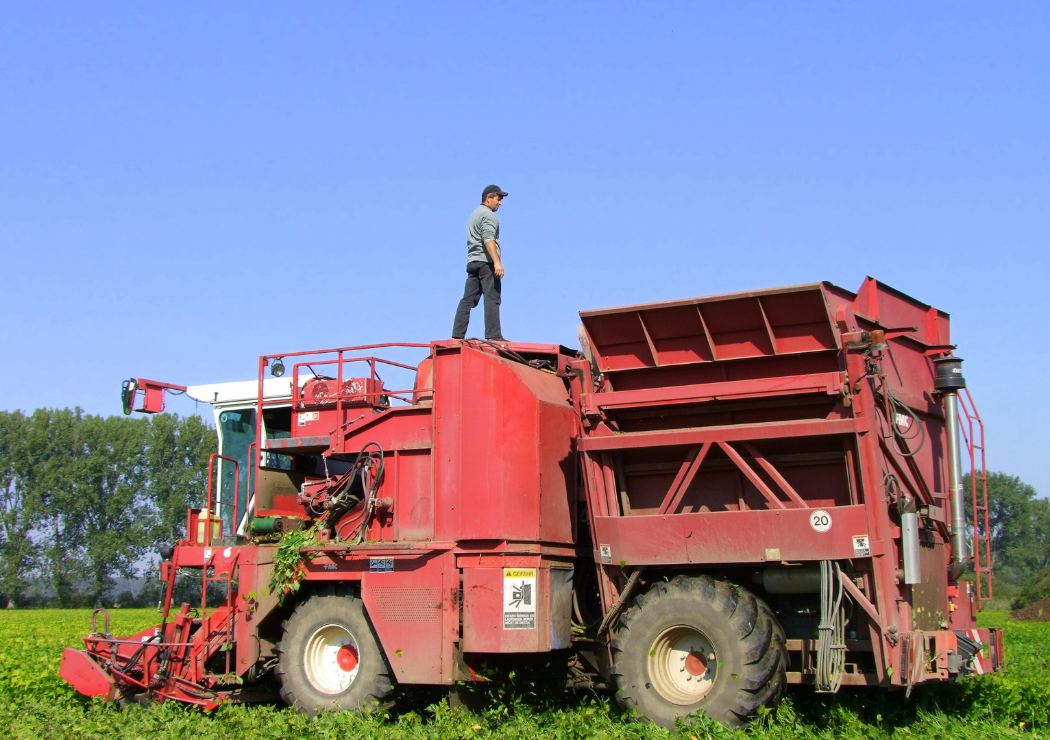 Ich hab Bohnen in die Ohren ! ( Gus Backus ) Foto & Bild industrie und technik