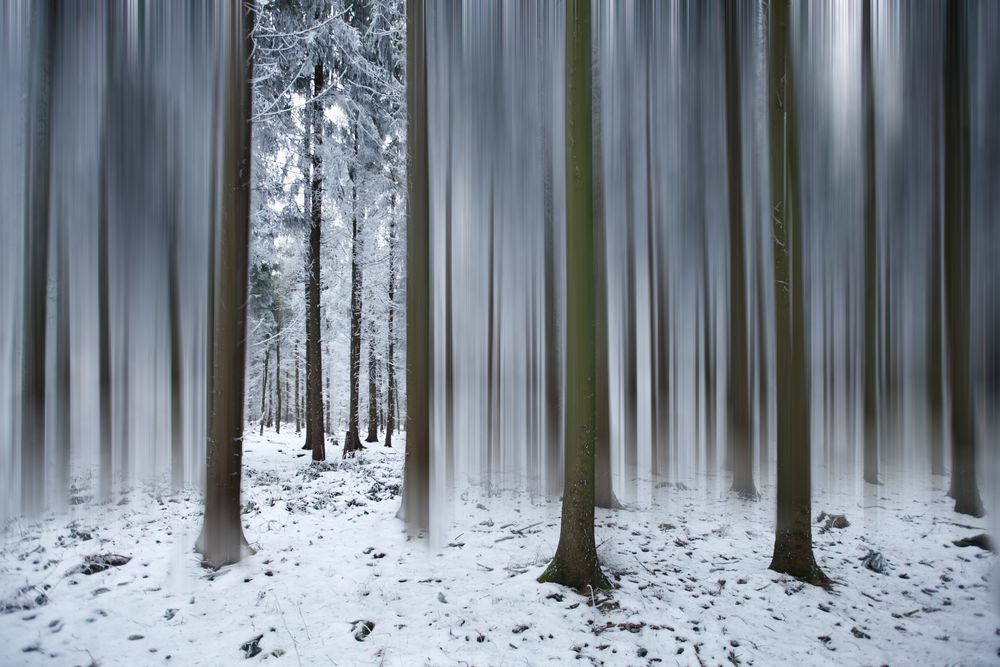 Ich hab das Tor zum Winter gefunden!!