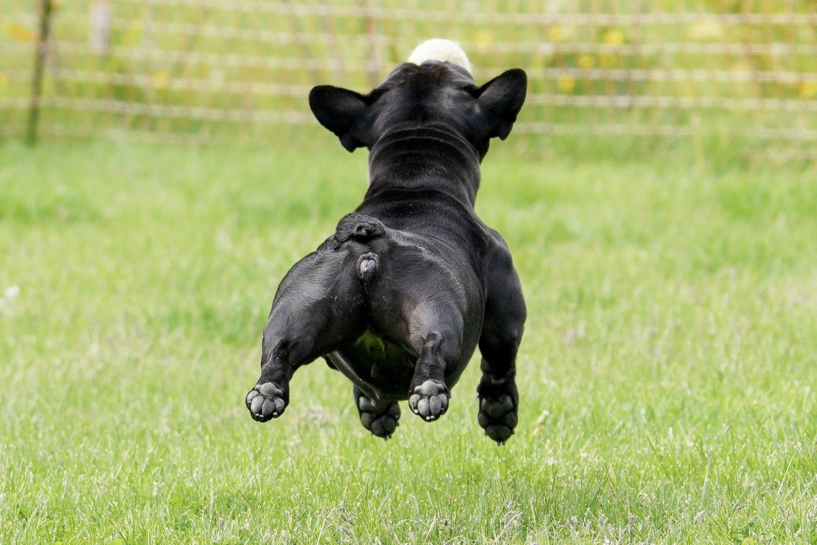 Ich hab den Ball ...