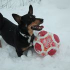 Ich hab den Ball.....