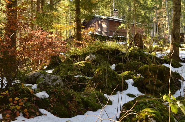 ich hab den ersten Schnee gefunden :)