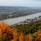 ich hab den Rhein in seinem Bett gesehen