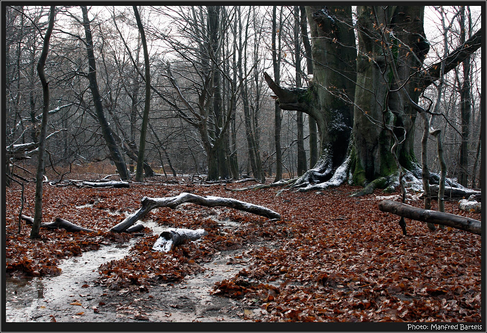 Ich hab den Winter gesehen...