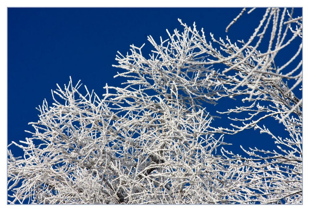 Ich hab den Winter gesehen