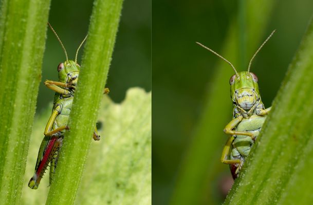 "Ich hab dich im Auge ..."