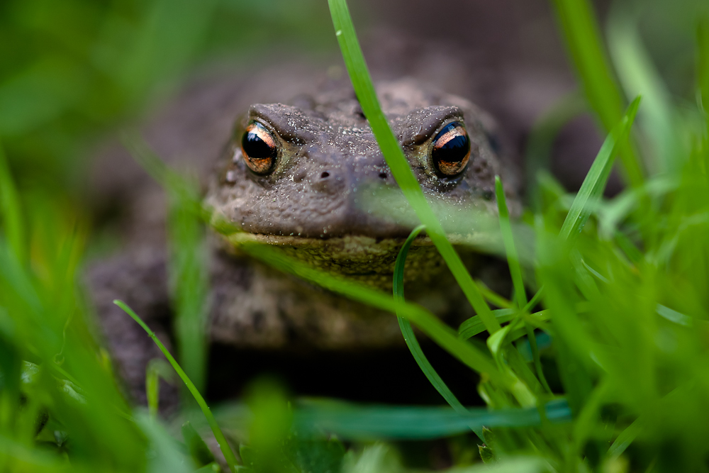 Ich hab Dich im Blick!