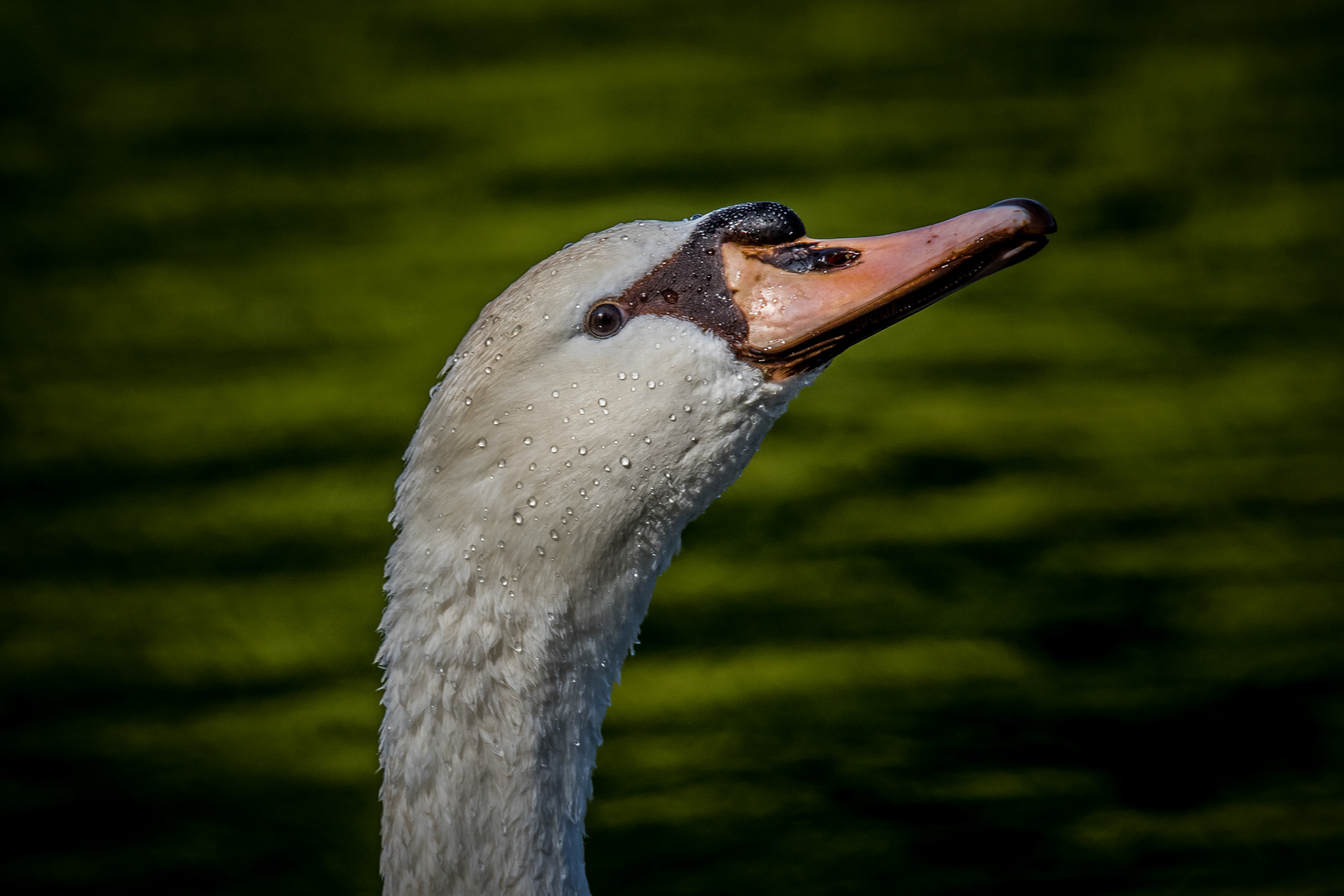 Ich hab Dich im Blick