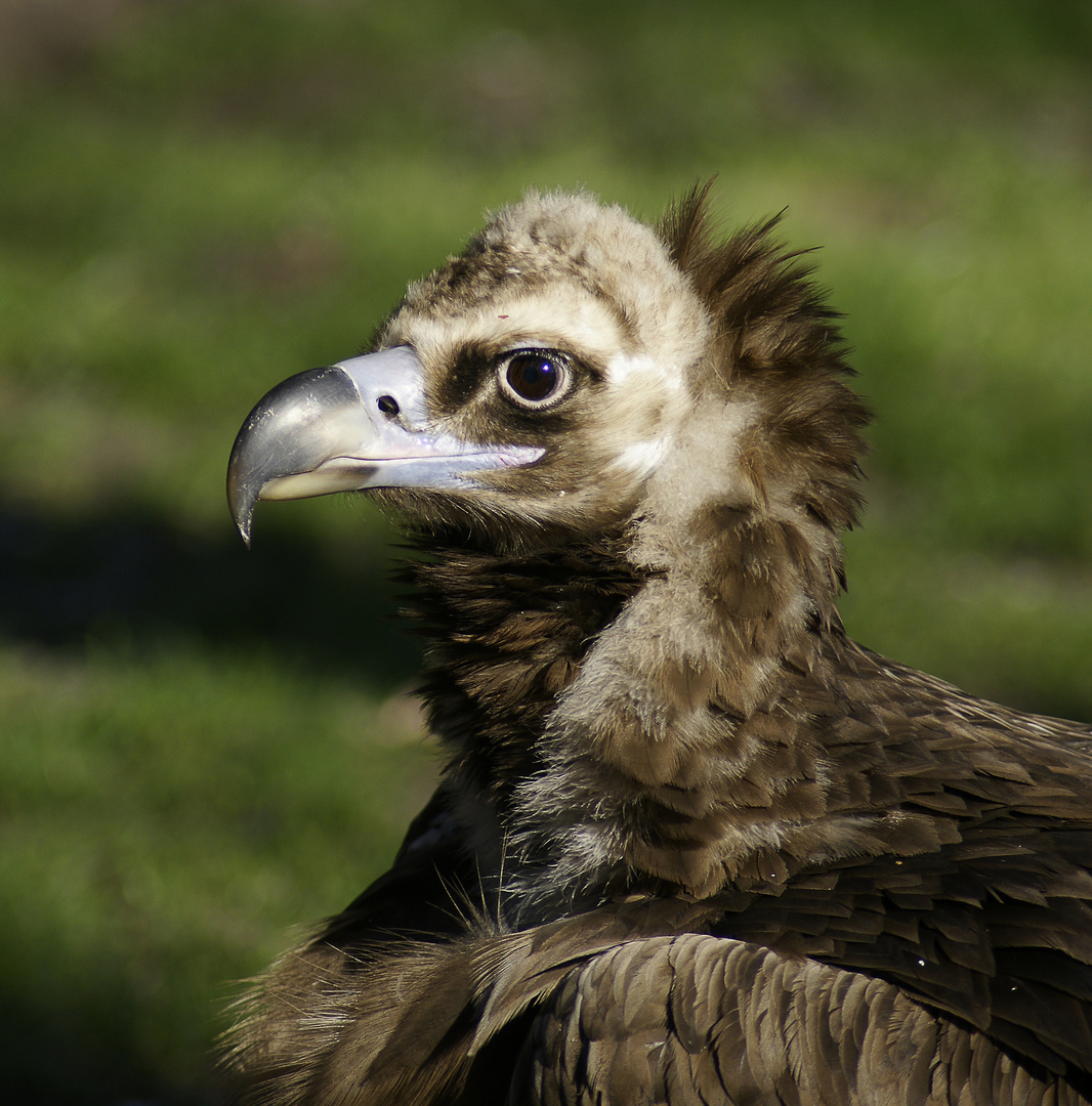 Ich hab' dich im Blick!