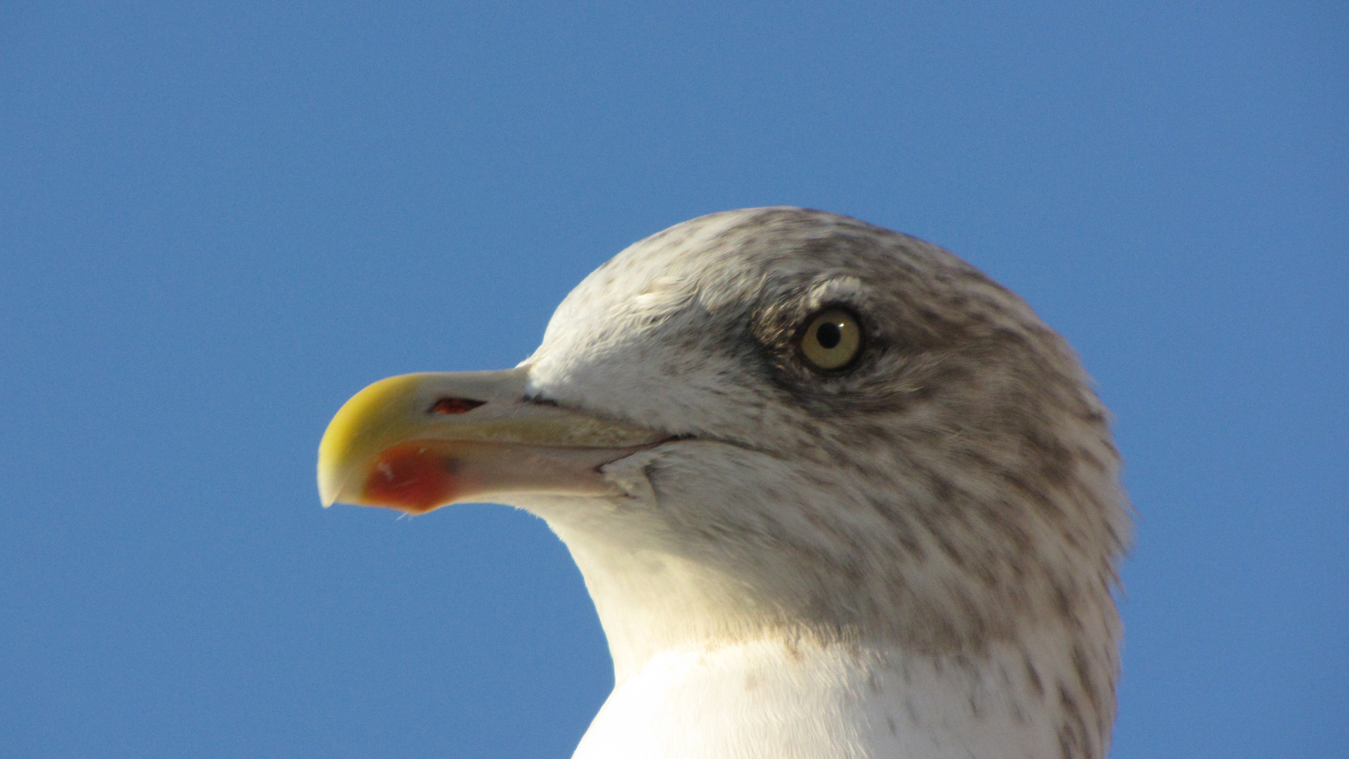 "Ich hab Dich im Blick!"