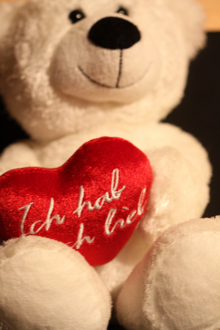 Ich hab dich Lieb Foto &amp; Bild stillleben, teddies, motive Bilder auf