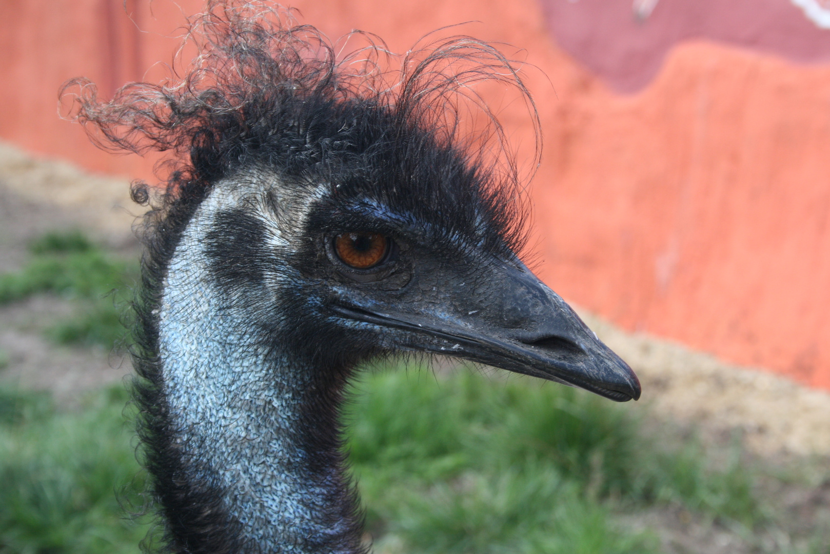 Ich hab die Haare schön...