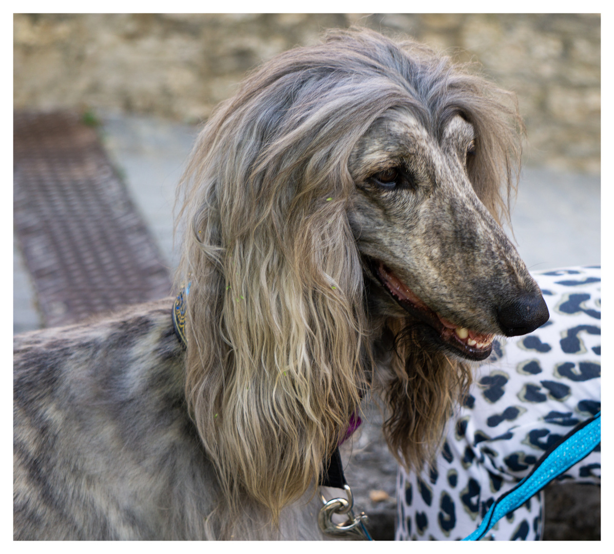 Ich hab die Haare schön