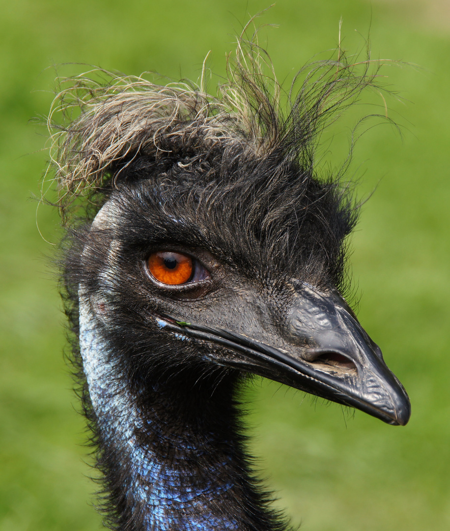 Ich hab die "Haare" schön ...