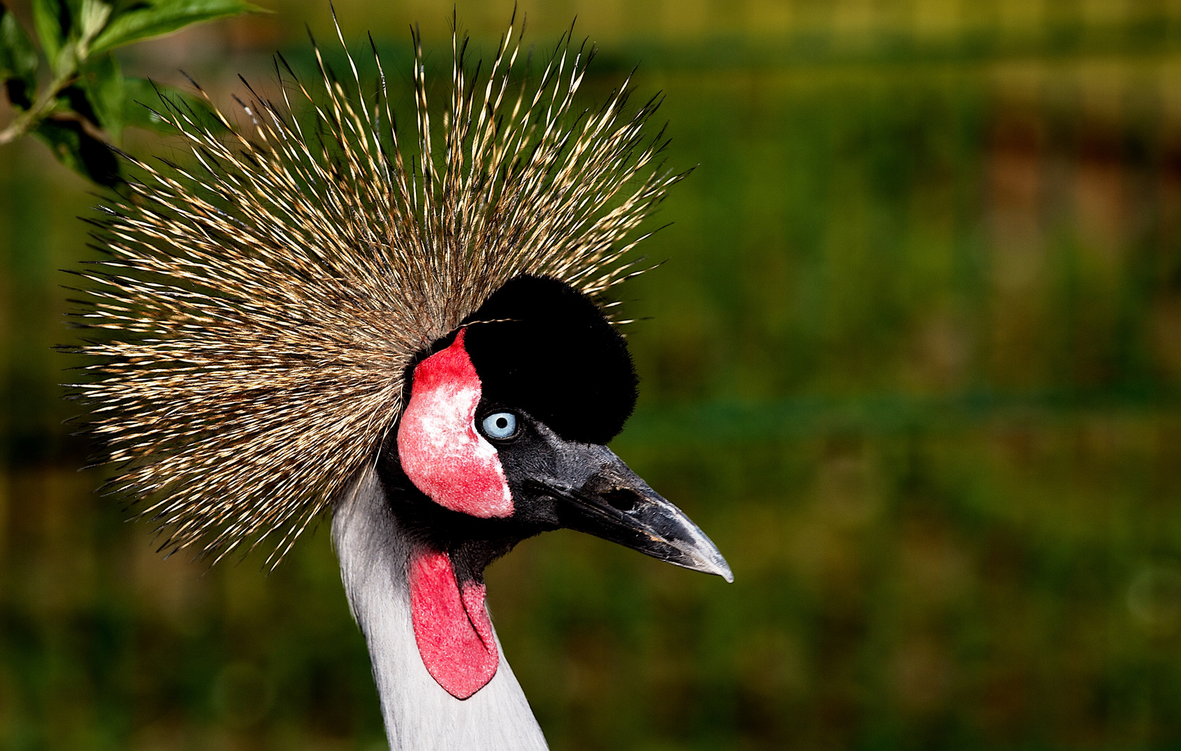 ich hab die haare schön