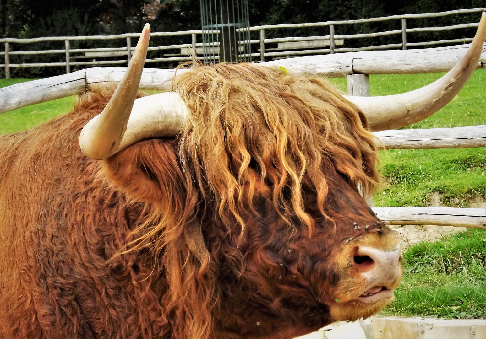 ..  ich hab die haare schön !  ...