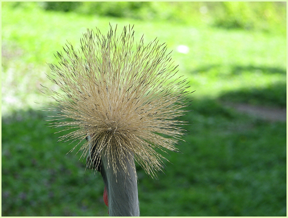 Ich hab die Haare schön ;-)