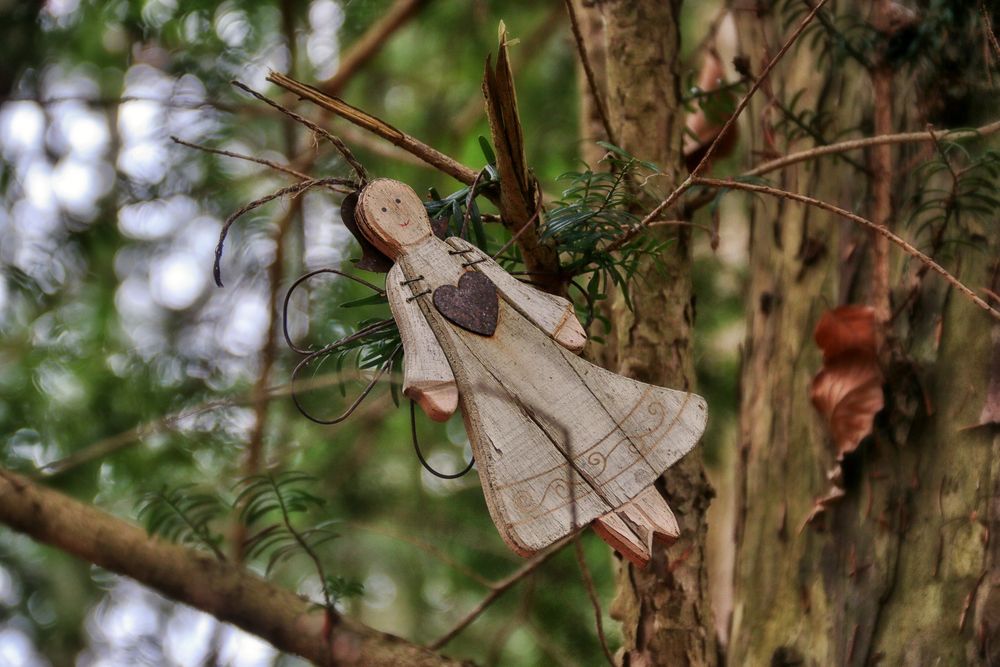 ich hab ein Engerl im Wald entdeckt