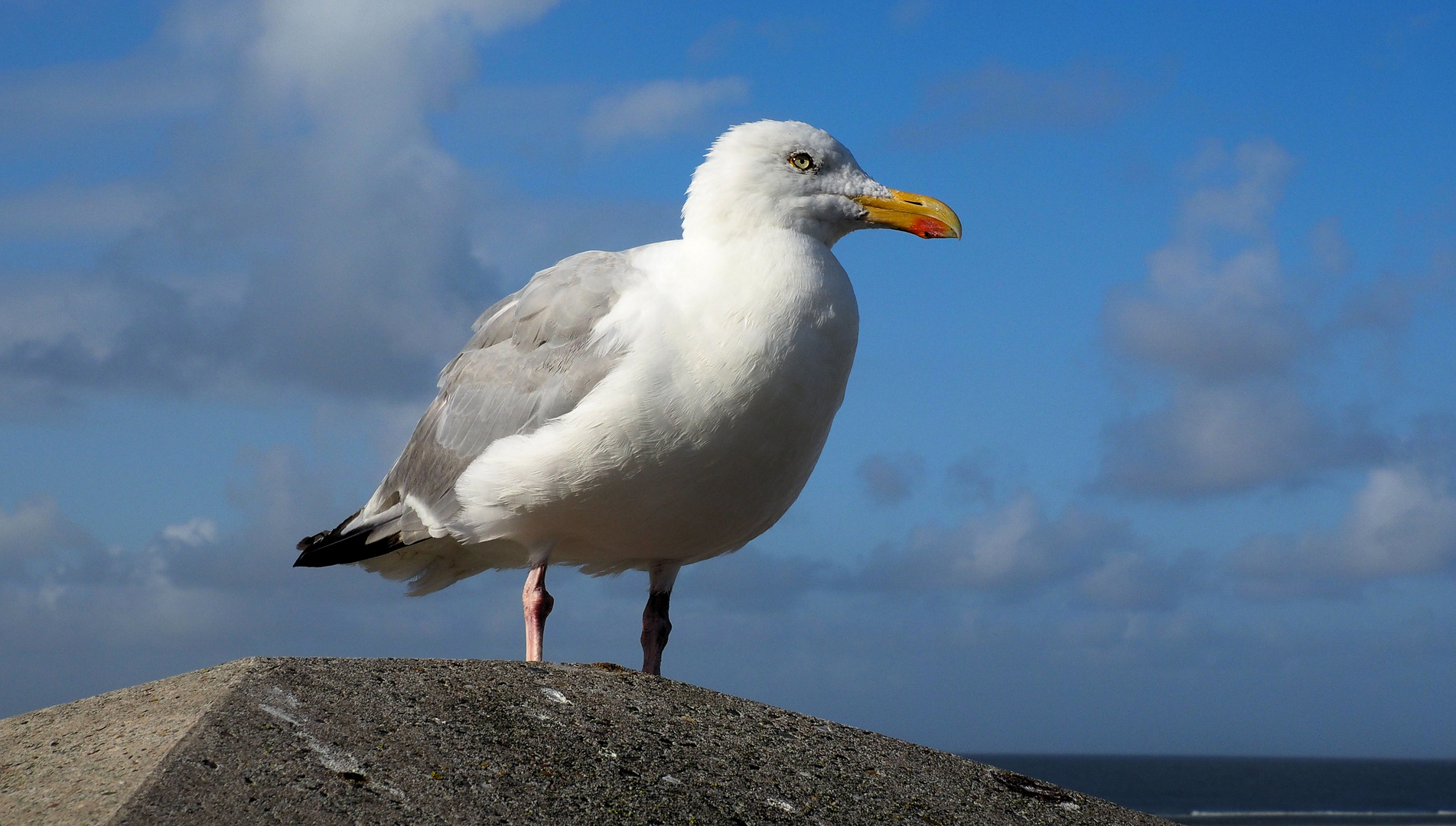 Ich hab euch im Blick… 