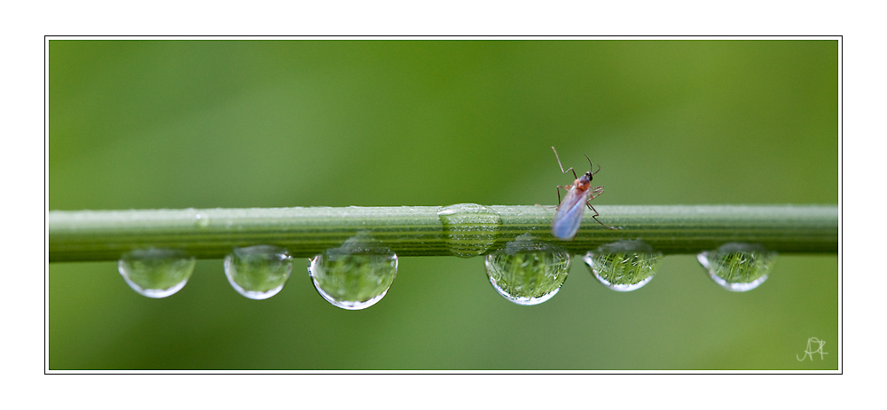 ich hab genug vom Regen