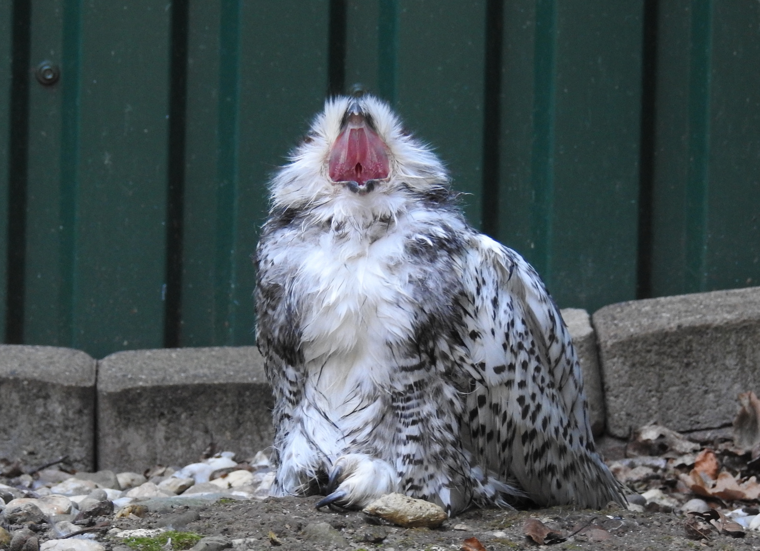 Ich hab Hunger!