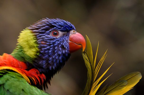 ich hab mich schön gemacht...