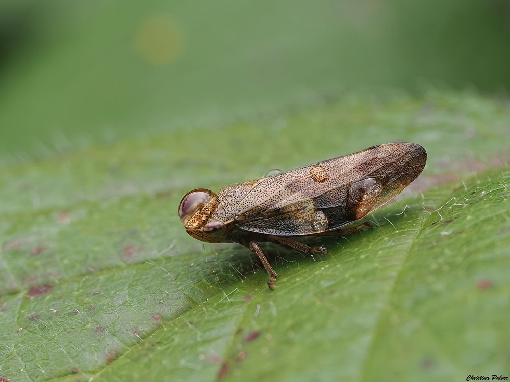 ich hab mich verewigt