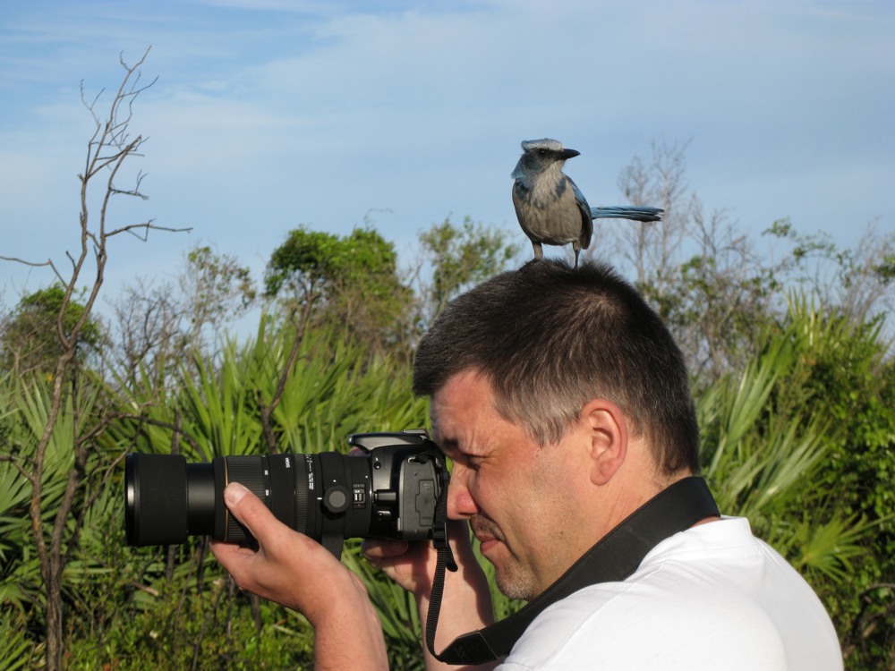 Ich hab nen Vogel!