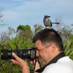 Ich hab nen Vogel!