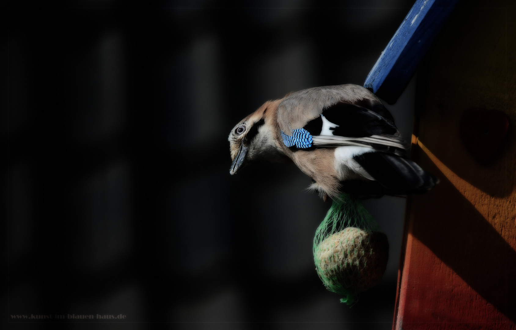 Ich hab 'nen Vogel