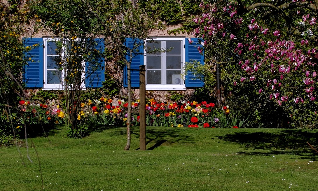 Ich hab nie einen Rosengarten versprochen