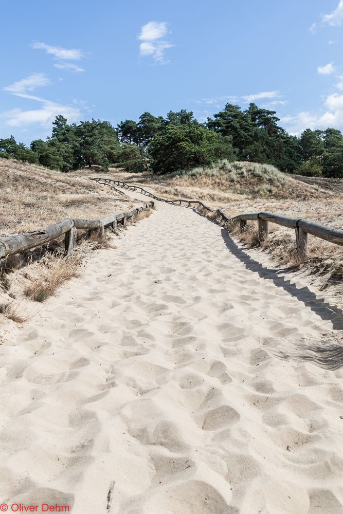 Ich hab noch Sand in den Schuhen von ...