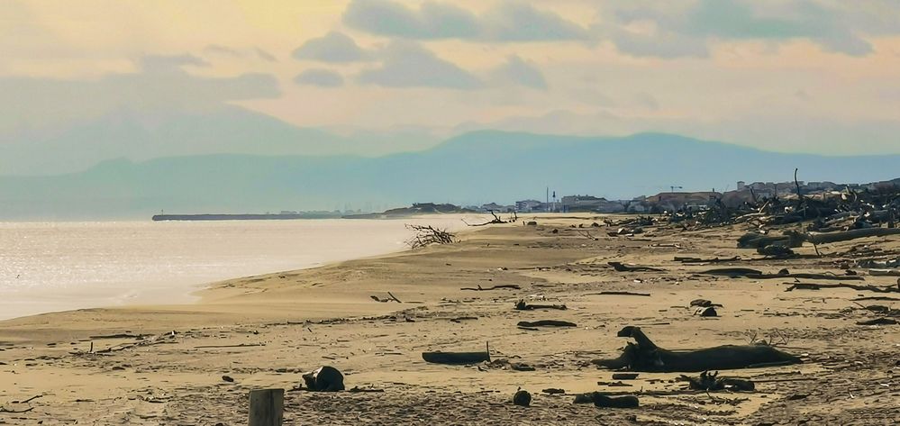 Ich hab schon mal ein paar Strandutensilien platziert, um einen Platz zu reservieren