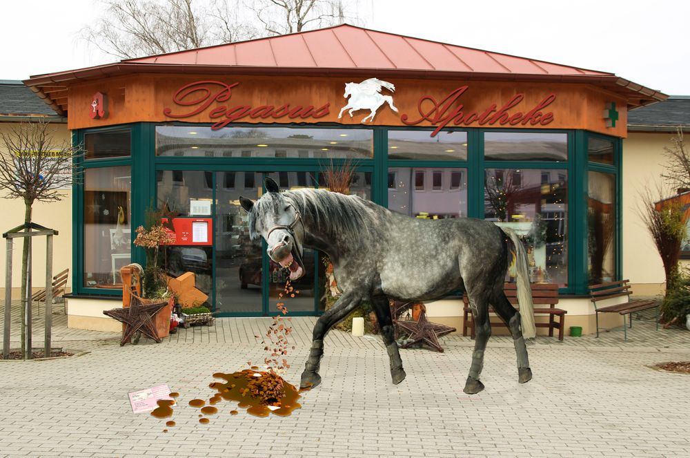 Ich hab schon Pferde kotzen sehen... Foto & Bild digiart challenge