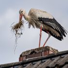 "Ich hab was mitgebracht"