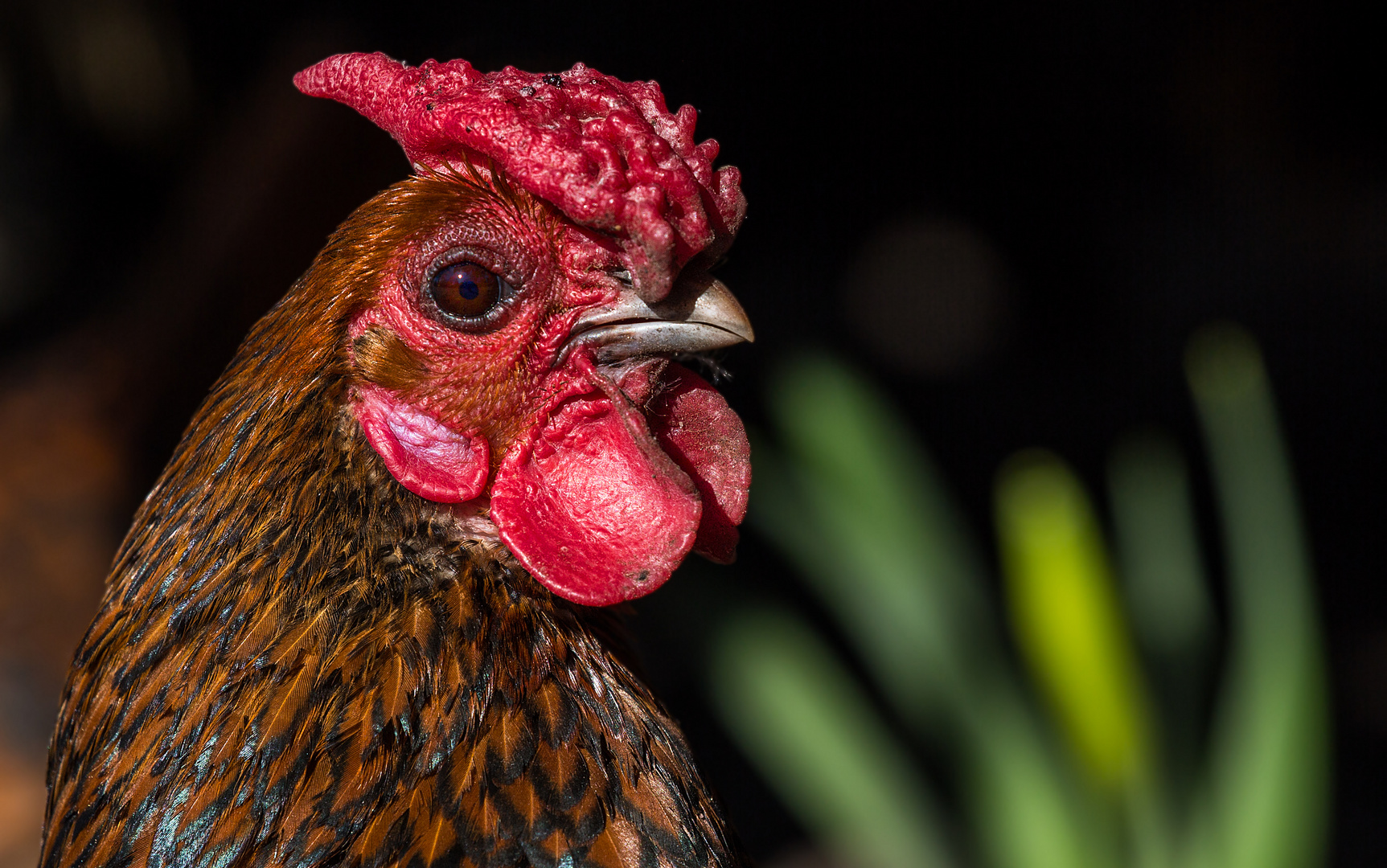 Ich habe alle erforderlichen Anweisungen für Ostern erteilt!