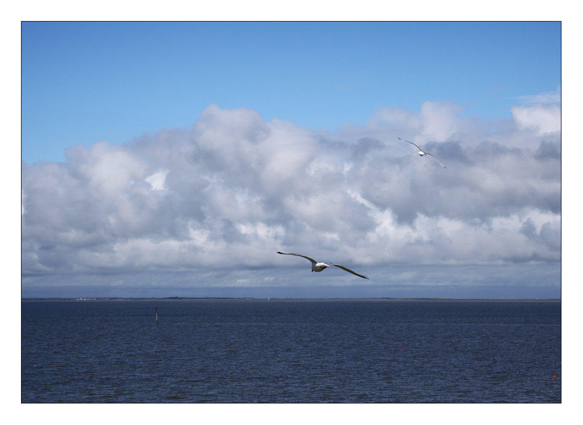 ich habe das Meer gesehen