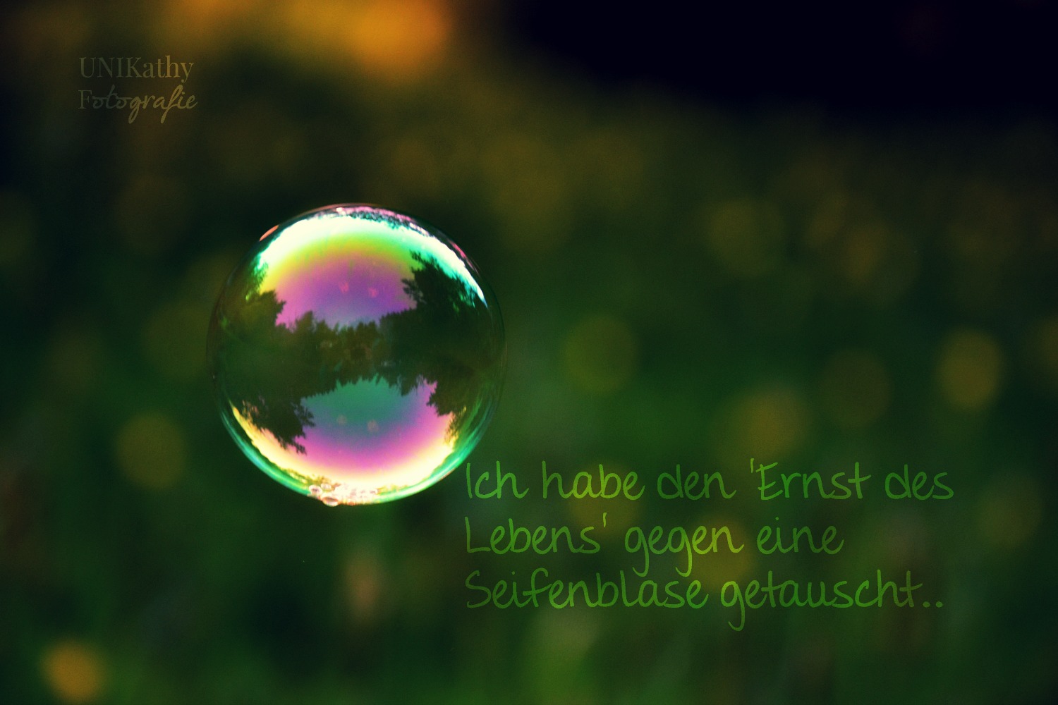 Ich habe den Ernst des Lebens gegen eine Seifenblase getauscht. Foto