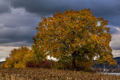 Ich habe den Herbstmantel übergezogen