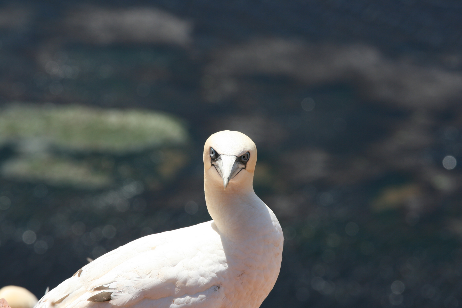 Ich habe Dich genau im Blick