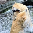 Ich habe dich zum Fressen gern, Zoo Hannover