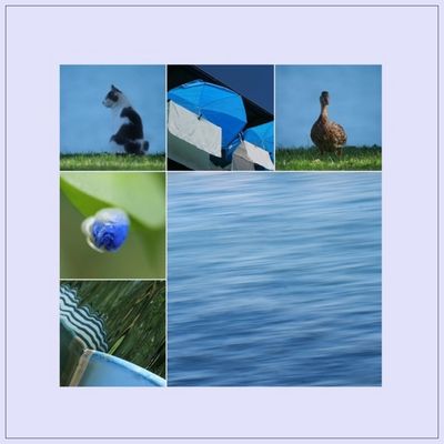 Ich habe die Farbe Blau gefunden